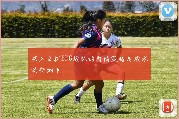 深入分析EDG战队的盯防策略与战术执行细节
