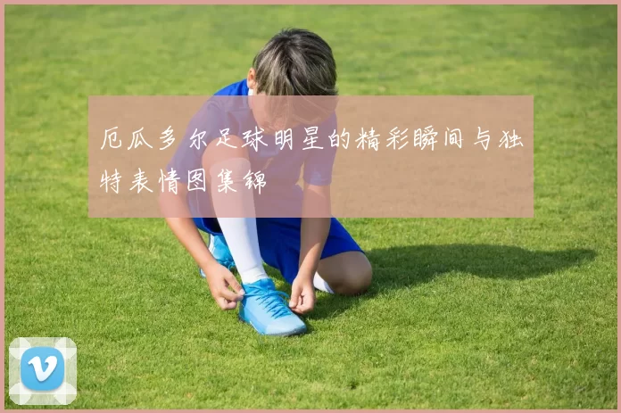厄瓜多尔足球明星的精彩瞬间与独特表情图集锦