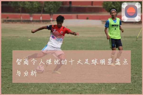 智商令人堪忧的十大足球明星盘点与分析