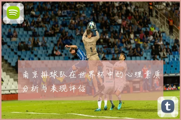 南京排球队在世界杯中的心理素质分析与表现评估