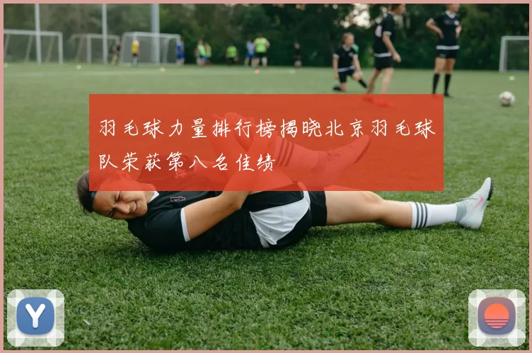 羽毛球力量排行榜揭晓北京羽毛球队荣获第八名佳绩