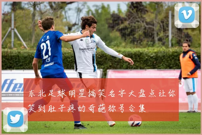 东北足球明星搞笑名字大盘点让你笑到肚子疼的奇葩称号合集