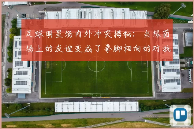 足球明星场内外冲突揭秘：当绿茵场上的友谊变成了拳脚相向的对抗