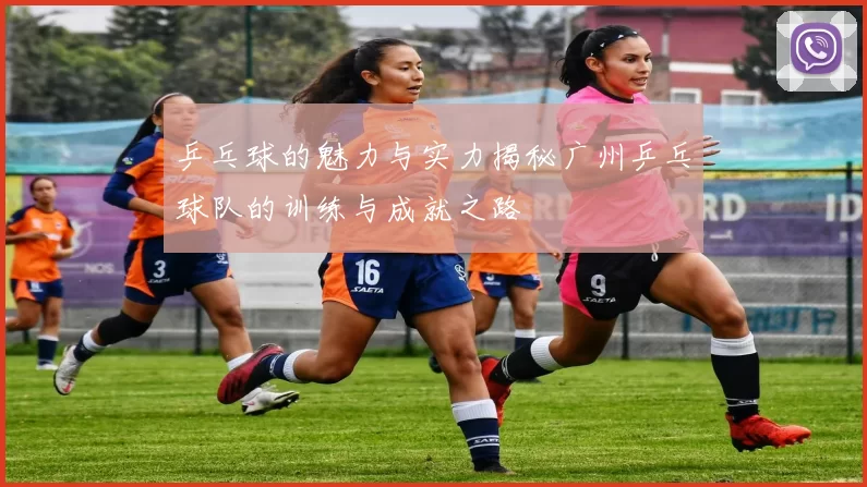 乒乓球的魅力与实力揭秘广州乒乓球队的训练与成就之路