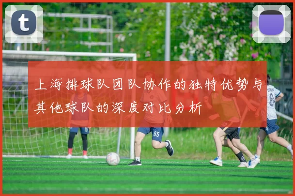 上海排球队团队协作的独特优势与其他球队的深度对比分析