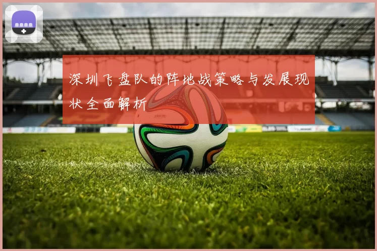 深圳飞盘队的阵地战策略与发展现状全面解析