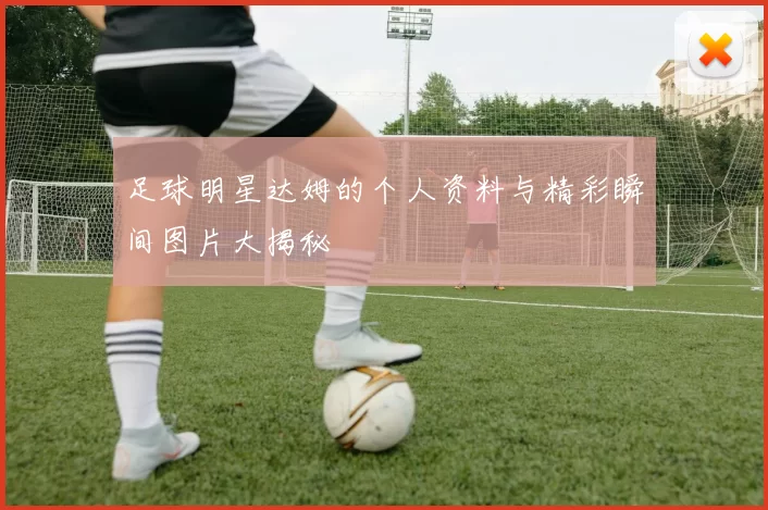 足球明星达姆的个人资料与精彩瞬间图片大揭秘