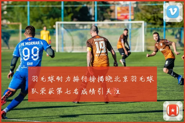 羽毛球耐力排行榜揭晓北京羽毛球队荣获第七名成绩引关注