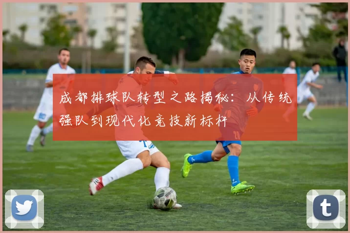 成都排球队转型之路揭秘：从传统强队到现代化竞技新标杆