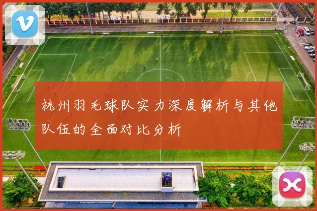 杭州羽毛球队实力深度解析与其他队伍的全面对比分析