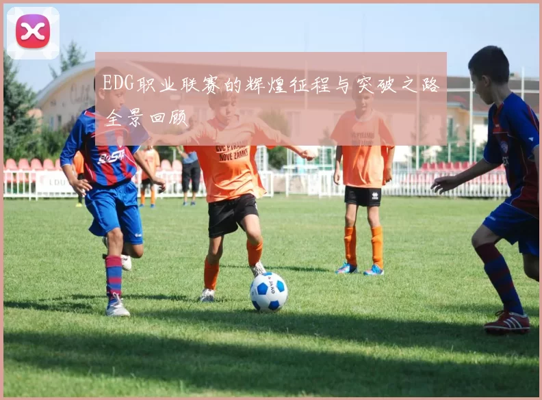 EDG职业联赛的辉煌征程与突破之路全景回顾