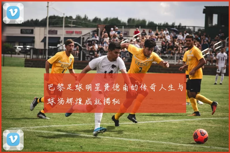 巴黎足球明星费德南的传奇人生与球场辉煌成就揭秘