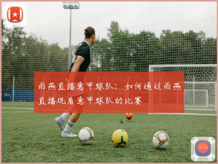 雨燕直播意甲球队：如何通过雨燕直播观看意甲球队的比赛