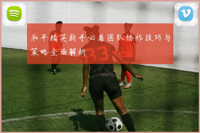 和平精英新手必看团队协作技巧与策略全面解析